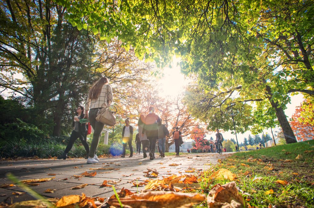 Students walking among fallen leaves on the UBC Main Mall